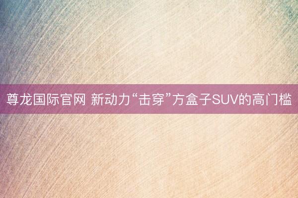 尊龙国际官网 新动力“击穿”方盒子SUV的高门槛