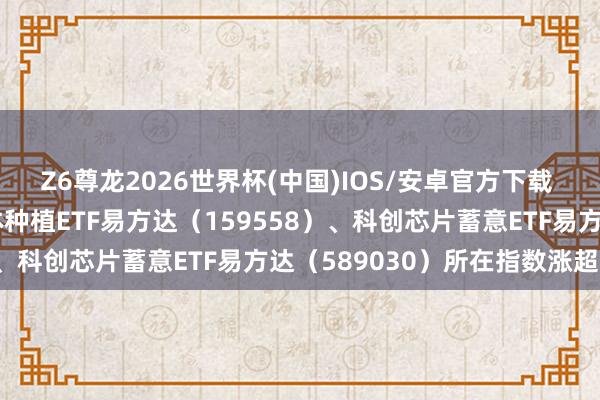 Z6尊龙2026世界杯(中国)IOS/安卓官方下载 芯片产业链爆发，半导体种植ETF易方达（159558）、科创芯片蓄意ETF易方达（589030）所在指数涨超6%