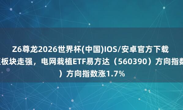 Z6尊龙2026世界杯(中国)IOS/安卓官方下载 电网栽植板块走强，电网栽植ETF易方达（560390）方向指数涨1.7%