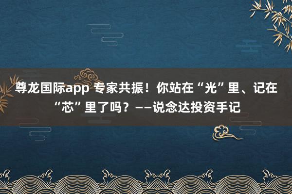 尊龙国际app 专家共振！你站在“光”里、记在“芯”里了吗？——说念达投资手记