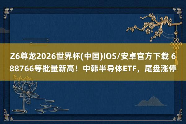 Z6尊龙2026世界杯(中国)IOS/安卓官方下载 688766等批量新高！中韩半导体ETF，尾盘涨停