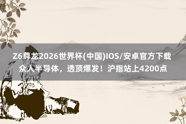 Z6尊龙2026世界杯(中国)IOS/安卓官方下载 众人半导体，透顶爆发！沪指站上4200点