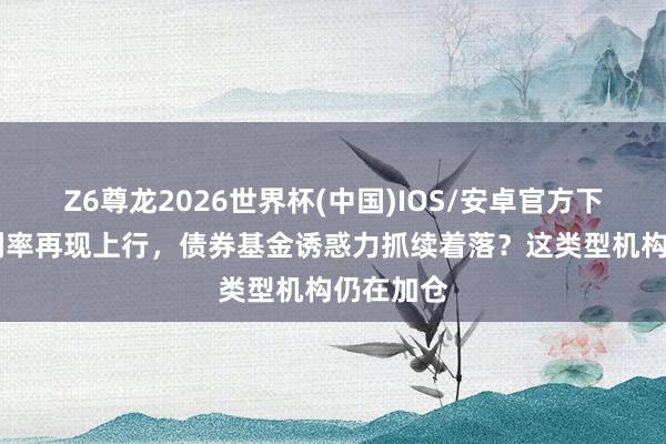 Z6尊龙2026世界杯(中国)IOS/安卓官方下载 长端利率再现上行，债券基金诱惑力抓续着落？这类型机构仍在加仓