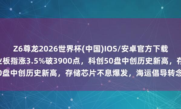 Z6尊龙2026世界杯(中国)IOS/安卓官方下载 沪指站上4200点，创业板指涨3.5%破3900点，科创50盘中创历史新高，存储芯片不息爆发，海运倡导转念丨A股收盘