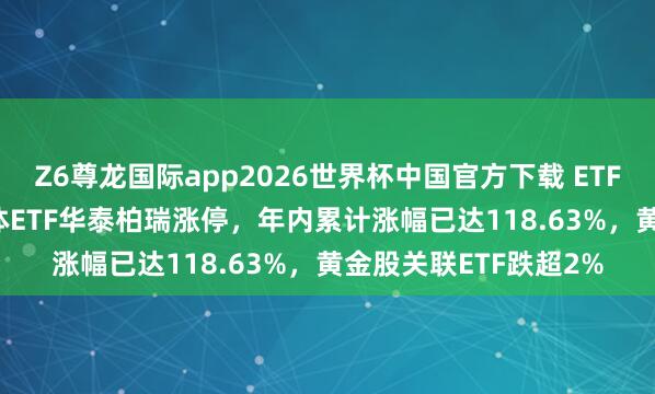 Z6尊龙国际app2026世界杯中国官方下载 ETF当天收评 | 中韩半导体ETF华泰柏瑞涨停，年内累计涨幅已达118.63%，黄金股关联ETF跌超2%