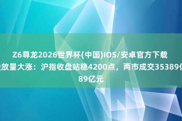 Z6尊龙2026世界杯(中国)IOS/安卓官方下载 A股放量大涨：沪指收盘站稳4200点，两市成交35389亿元