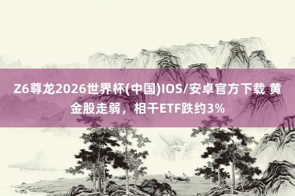 Z6尊龙2026世界杯(中国)IOS/安卓官方下载 黄金股走弱，相干ETF跌约3%