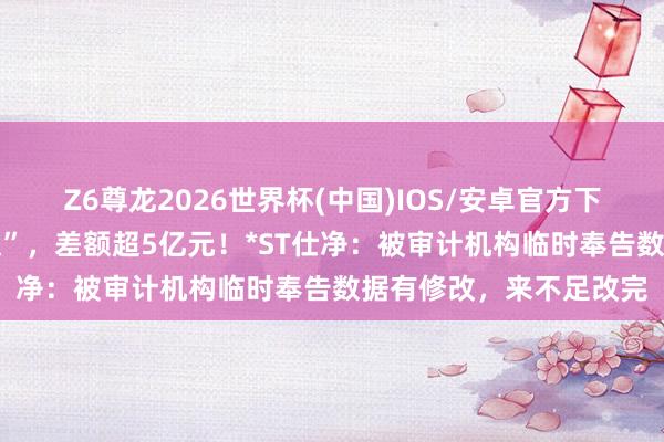 Z6尊龙2026世界杯(中国)IOS/安卓官方下载 年报营收数字“打架”，差额超5亿元！*ST仕净：被审计机构临时奉告数据有修改，来不足改完