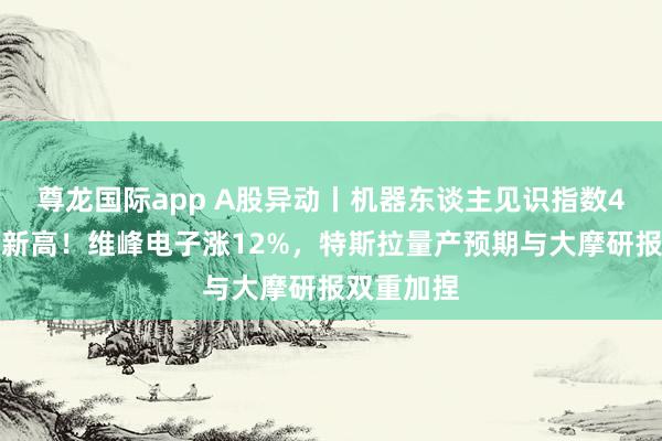 尊龙国际app A股异动丨机器东谈主见识指数4连涨再翻新高！维峰电子涨12%，特斯拉量产预期与大摩研报双重加捏