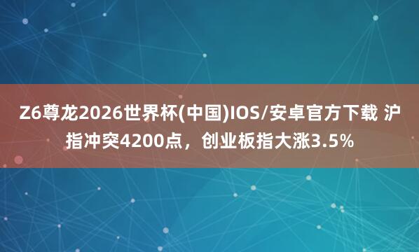Z6尊龙2026世界杯(中国)IOS/安卓官方下载 沪指冲突4200点，创业板指大涨3.5%