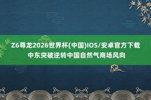 Z6尊龙2026世界杯(中国)IOS/安卓官方下载 中东突破逆转中国自然气商场风向