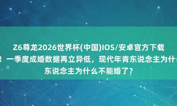 Z6尊龙2026世界杯(中国)IOS/安卓官方下载 169.7万对！一季度成婚数据再立异低，现代年青东说念主为什么不能婚了？