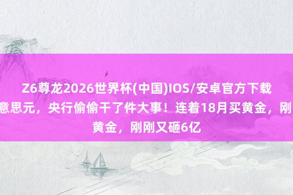 Z6尊龙2026世界杯(中国)IOS/安卓官方下载 全球盯好意思元，央行偷偷干了件大事！连着18月买黄金，刚刚又砸6亿