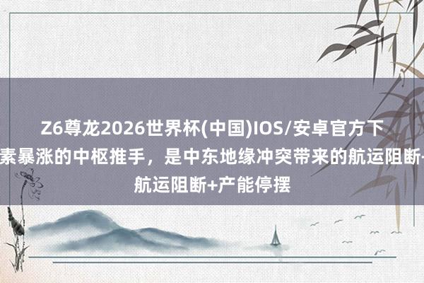 Z6尊龙2026世界杯(中国)IOS/安卓官方下载 本轮尿素暴涨的中枢推手，是中东地缘冲突带来的航运阻断+产能停摆