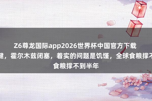 Z6尊龙国际app2026世界杯中国官方下载 油不关键，霍尔木兹闭塞，着实的问题是饥馑，全球食粮撑不到半年