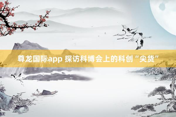 尊龙国际app 探访科博会上的科创“尖货”