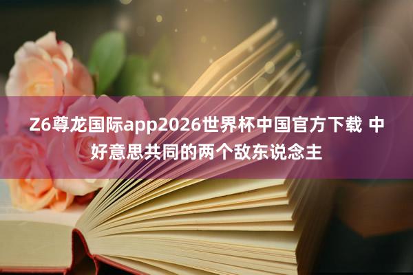 Z6尊龙国际app2026世界杯中国官方下载 中好意思共同的两个敌东说念主