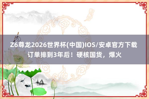 Z6尊龙2026世界杯(中国)IOS/安卓官方下载 订单排到3年后！硬核国货，爆火