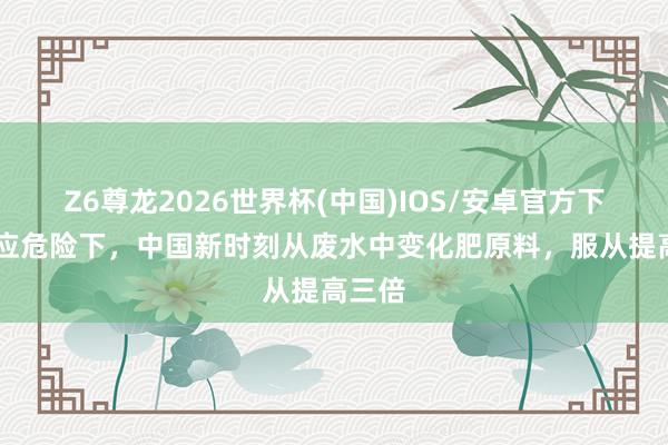 Z6尊龙2026世界杯(中国)IOS/安卓官方下载 供应危险下，中国新时刻从废水中变化肥原料，服从提高三倍