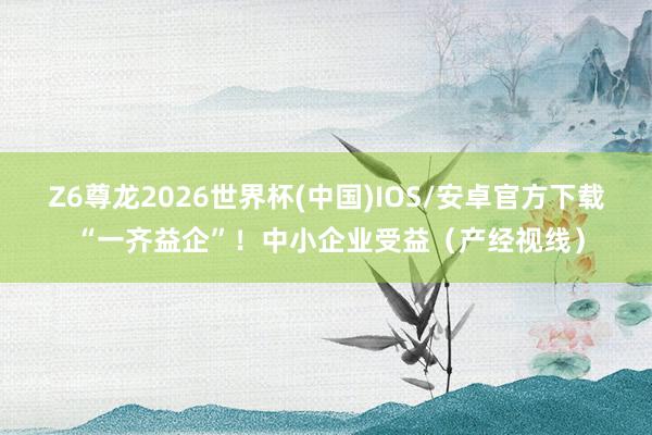 Z6尊龙2026世界杯(中国)IOS/安卓官方下载 “一齐益企”！中小企业受益（产经视线）