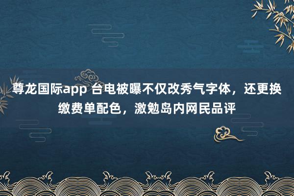 尊龙国际app 台电被曝不仅改秀气字体，还更换缴费单配色，激勉岛内网民品评