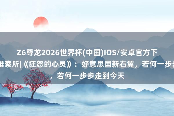 Z6尊龙2026世界杯(中国)IOS/安卓官方下载 心智不雅察所|《狂怒的心灵》：好意思国新右翼，若何一步步走到今天