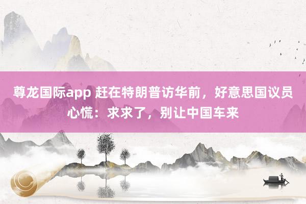 尊龙国际app 赶在特朗普访华前，好意思国议员心慌：求求了，别让中国车来