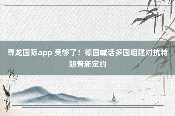 尊龙国际app 受够了！德国喊话多国组建对抗特朗普新定约