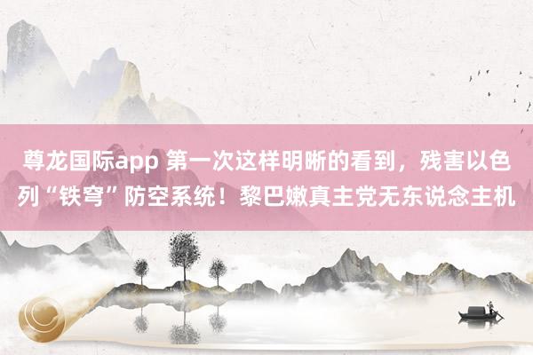 尊龙国际app 第一次这样明晰的看到,残害以色列“铁穹”防空系统!黎巴嫩真主党无东说念主机