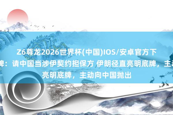 Z6尊龙2026世界杯(中国)IOS/安卓官方下载 伊朗亮底牌:请中国当涉伊契约担保方 伊朗径直亮明底牌,主动向中国抛出