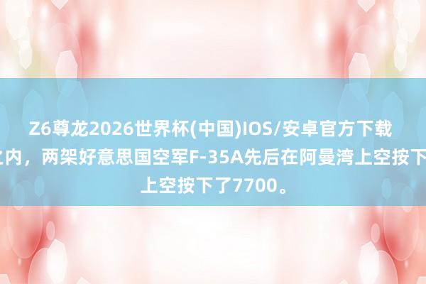 Z6尊龙2026世界杯(中国)IOS/安卓官方下载 24小时之内，两架好意思国空军F-35A先后在阿曼湾上空按下了7700。