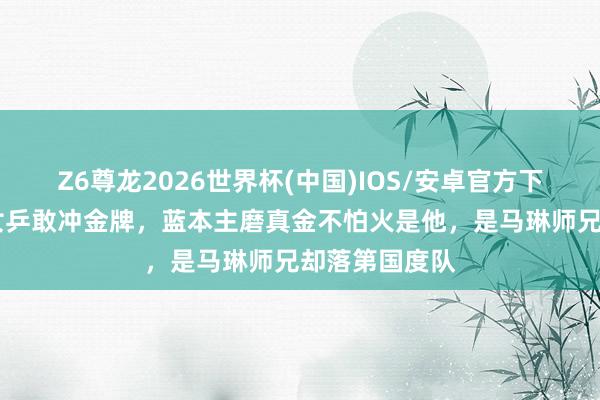 Z6尊龙2026世界杯(中国)IOS/安卓官方下载 难怪日本女乒敢冲金牌，蓝本主磨真金不怕火是他，是马琳师兄却落第国度队