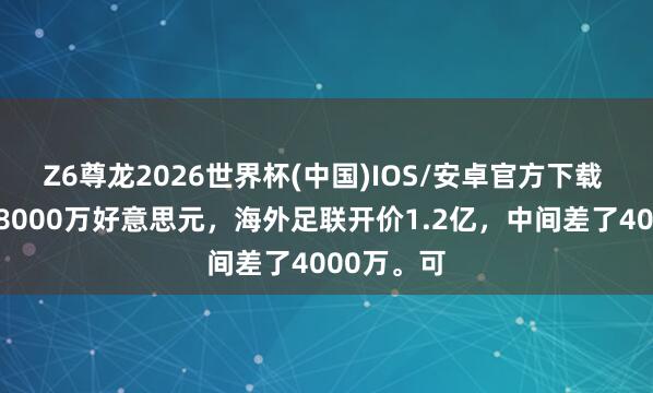 Z6尊龙2026世界杯(中国)IOS/安卓官方下载 央视出价8000万好意思元，海外足联开价1.2亿，中间差了4000万。可