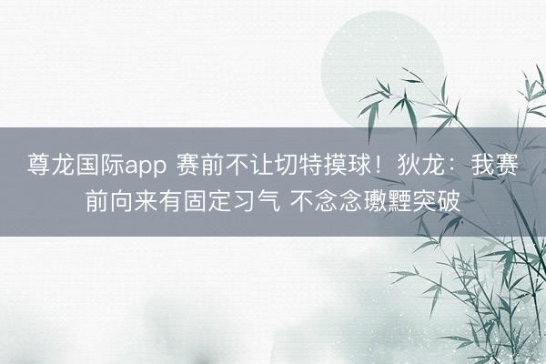 尊龙国际app 赛前不让切特摸球！狄龙：我赛前向来有固定习气 不念念璷黫突破