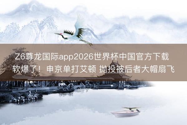 Z6尊龙国际app2026世界杯中国官方下载 软爆了！申京单打艾顿 抛投被后者大帽扇飞