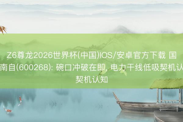 Z6尊龙2026世界杯(中国)IOS/安卓官方下载 国电南自(600268): 碗口冲破在即， 电力干线低吸契机认知
