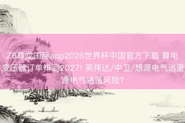 Z6尊龙国际app2026世界杯中国官方下载 算电协同: 变压器订单排到2027! 英伟达/中卫/想源电气逃匿风险?