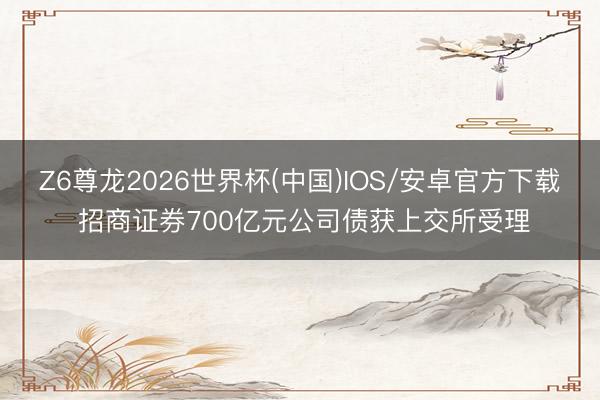 Z6尊龙2026世界杯(中国)IOS/安卓官方下载 招商证券700亿元公司债获上交所受理