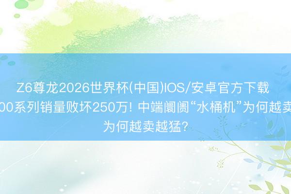 Z6尊龙2026世界杯(中国)IOS/安卓官方下载 荣耀500系列销量败坏250万! 中端阛阓“水桶机”为何越卖越猛?