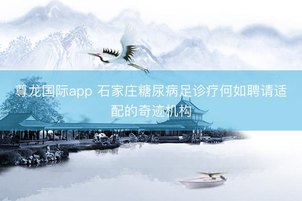 尊龙国际app 石家庄糖尿病足诊疗何如聘请适配的奇迹机构