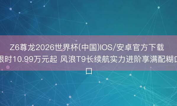 Z6尊龙2026世界杯(中国)IOS/安卓官方下载 限时10.99万元起 风浪T9长续航实力进阶享满配糊口
