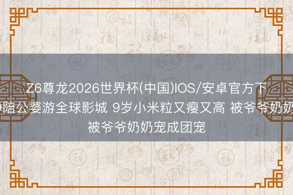 Z6尊龙2026世界杯(中国)IOS/安卓官方下载 伊能静陪公婆游全球影城 9岁小米粒又瘦又高 被爷爷奶奶宠成团宠