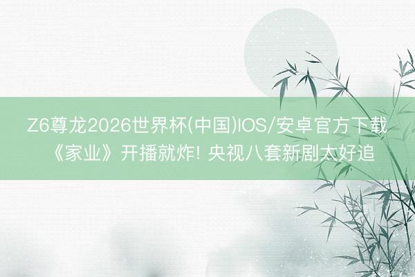 Z6尊龙2026世界杯(中国)IOS/安卓官方下载 《家业》开播就炸! 央视八套新剧太好追