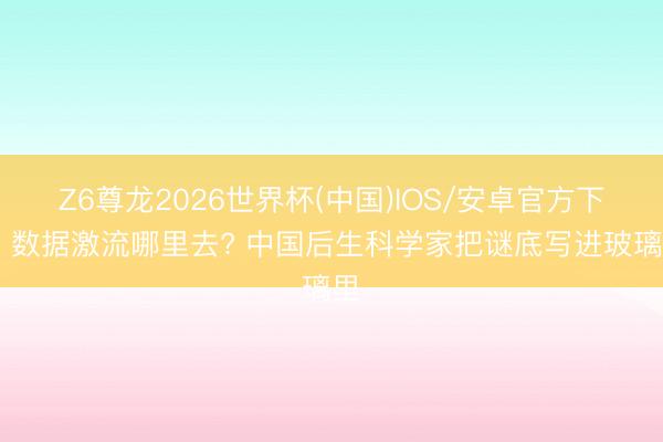 Z6尊龙2026世界杯(中国)IOS/安卓官方下载 数据激流哪里去? 中国后生科学家把谜底写进玻璃里