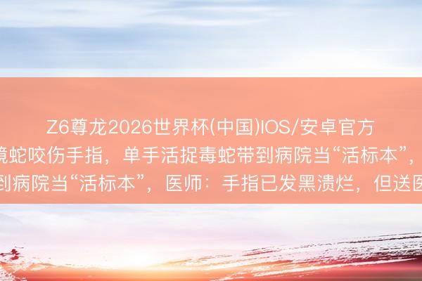 Z6尊龙2026世界杯(中国)IOS/安卓官方下载 女子被约2米长眼镜蛇咬伤手指，单手活捉毒蛇带到病院当“活标本”，医师：手指已发黑溃烂，但送医实时