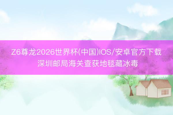 Z6尊龙2026世界杯(中国)IOS/安卓官方下载 深圳邮局海关查获地毯藏冰毒