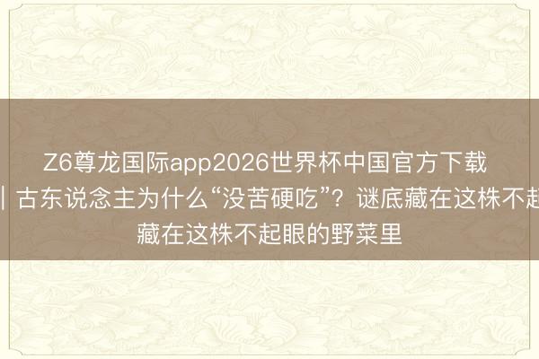 Z6尊龙国际app2026世界杯中国官方下载 新七十二候｜古东说念主为什么“没苦硬吃”？谜底藏在这株不起眼的野菜里
