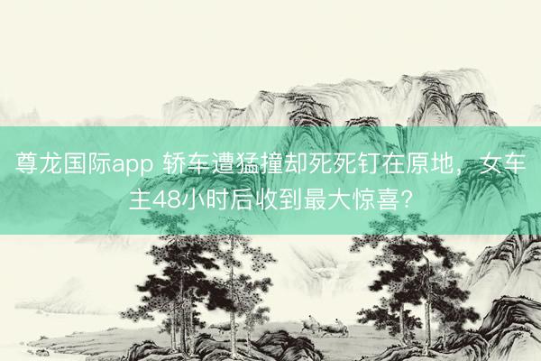尊龙国际app 轿车遭猛撞却死死钉在原地，女车主48小时后收到最大惊喜?