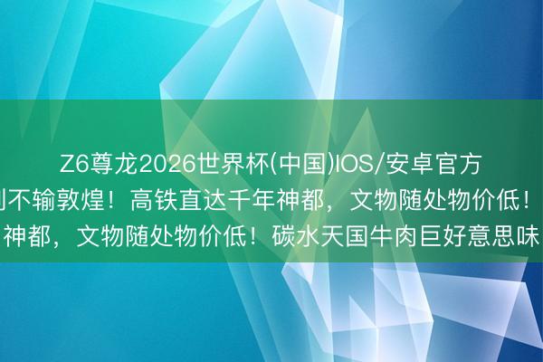Z6尊龙2026世界杯(中国)IOS/安卓官方下载 底蕴并列西安，石刻不输敦煌！高铁直达千年神都，文物随处物价低！碳水天国牛肉巨好意思味