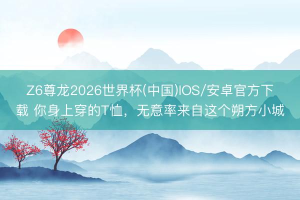 Z6尊龙2026世界杯(中国)IOS/安卓官方下载 你身上穿的T恤，无意率来自这个朔方小城